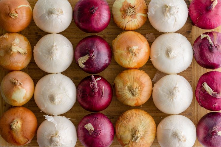 Onion